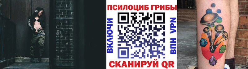 закладки Пикалёво Псилоцибиновые грибы мухоморы